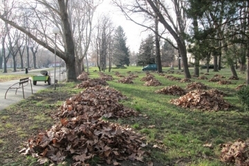 До броени дни стартира подновяване на растителността в паркове и градинки