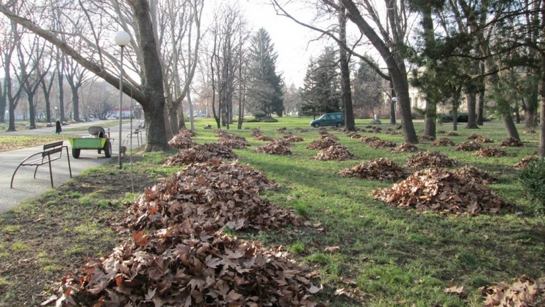 До броени дни стартира подновяване на растителността в паркове и градинки