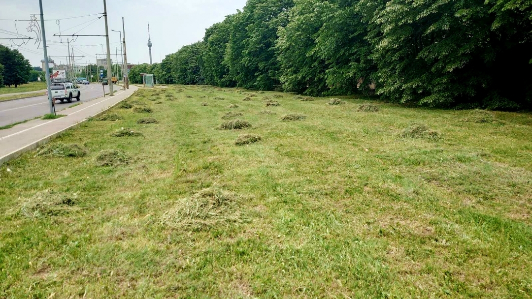 Актуален график на дейностите по косене на тревните площи в Русе на 14.06.2021 г. 