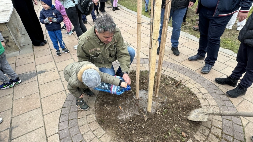 Инициатива за засаждане на дръвчета събра деца и родители на кея в Русе