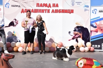 Второто издание на „Парад на домашния любимец“ събира опашати чаровници в Русе на 27 септември