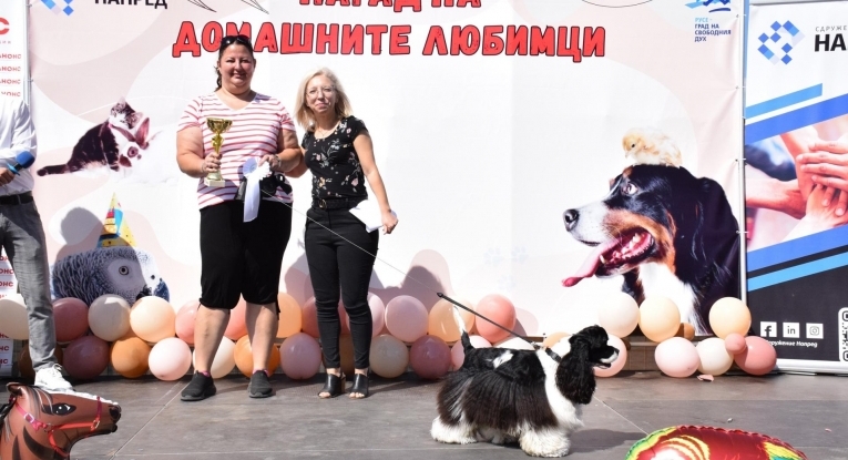 Община Русе