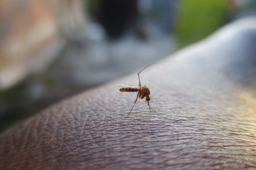 Пръсканията против комари и кърлежи продължават