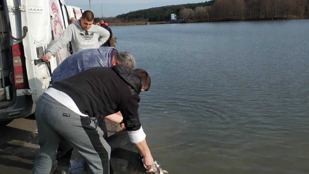 Клуб Feeder fishing Ruse днес зариби езерото в лесопарка 