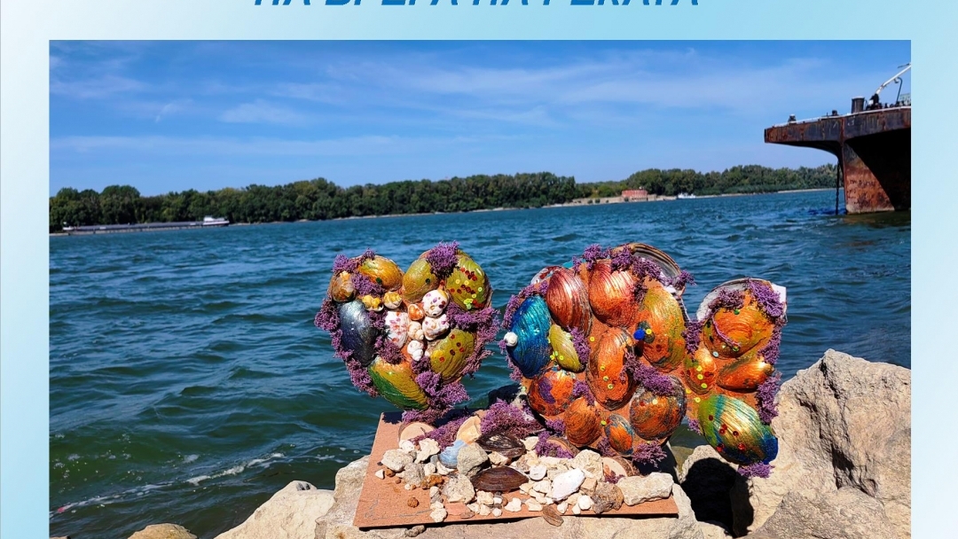 Русе ще отпразнува Деня на Дунав с водни битки, арт хепънинг и много забавления за малки и големи