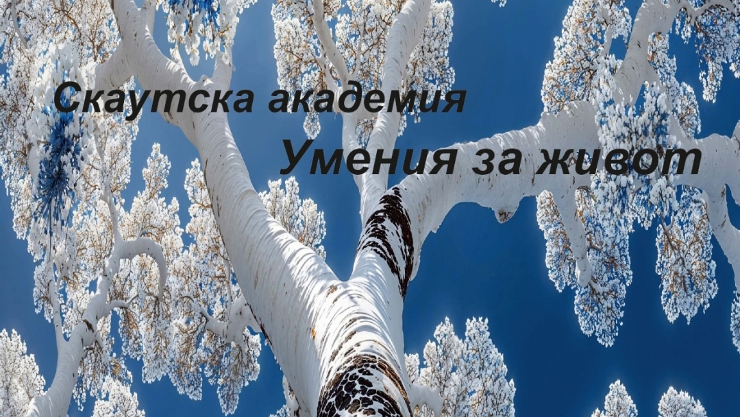 Скаутска академия в Русе учи деца на умения за живот и любов към природата 