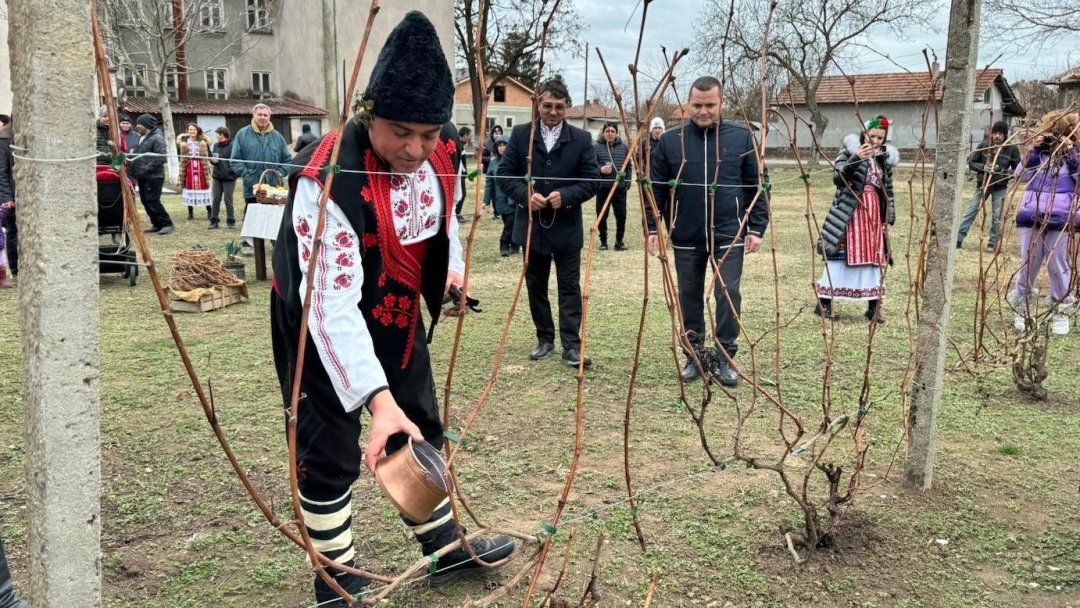 In Sandrovo celebrated the Feast of Wine and Vineyards