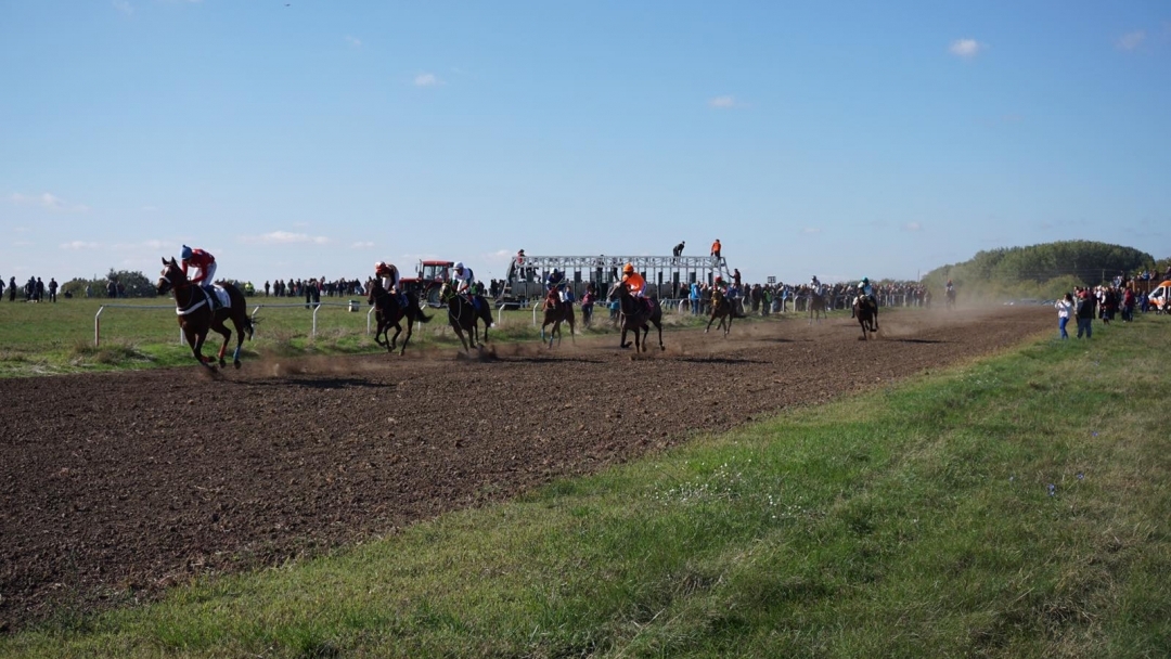 Близо 60 от най-елитните коне в България премериха сили на хиподрумната писта в с. Сандрово