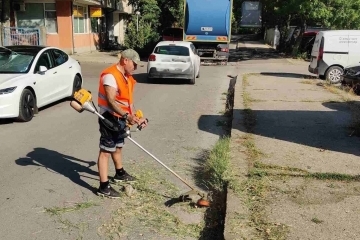 Общинските екипи продължават дейностите по косене на тревните площи в Русе