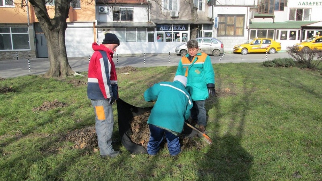 До броени дни стартира подновяване на растителността в паркове и градинки