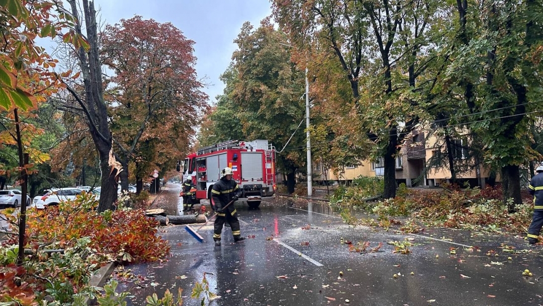 Екипи на общинските предприятия и Пожарната служба работят по сигнали за паднали дървета и аварии