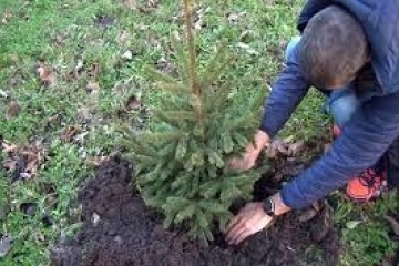 ПРОВЕРКИ ОТ ОТДЕЛ ЕКОЛОГИЯ ПРЕЗ ЗИМНИЯ СЕЗОН