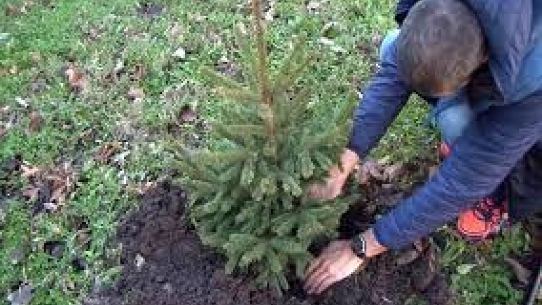 ПРОВЕРКИ ОТ ОТДЕЛ ЕКОЛОГИЯ ПРЕЗ ЗИМНИЯ СЕЗОН