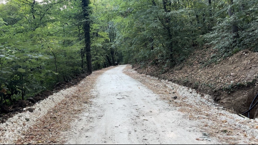 Pencho Milkov: Lipnik Forest Park is being transformed