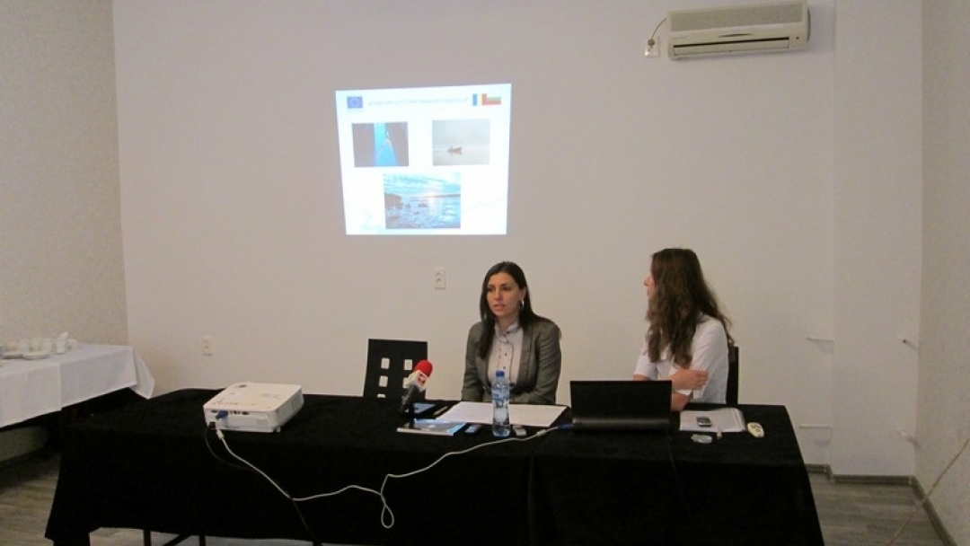 Проект „Дунавският дух в пристанищните общности“