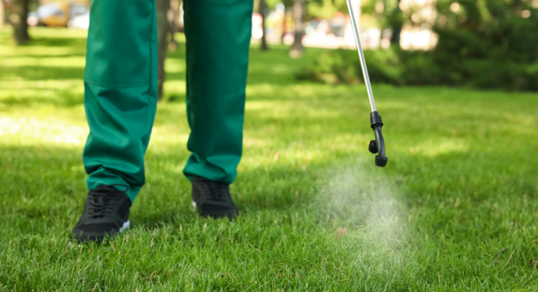 Община Русе