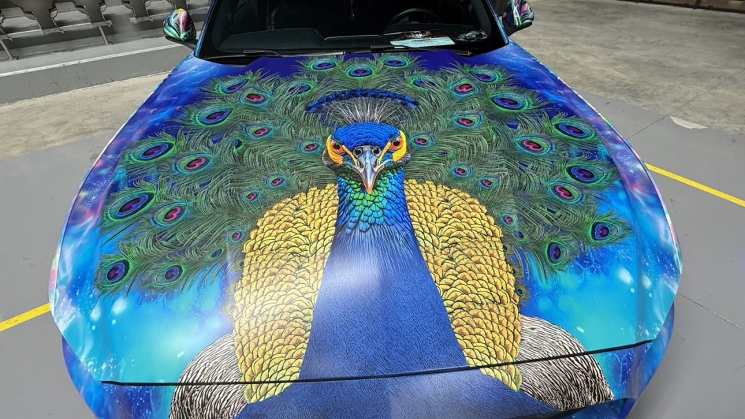 "MASKA" and "RUSE LIGHT & RHYTHM FEST" brought together Bulgarian and Romanian fans of cars, music and visual arts in Ruse