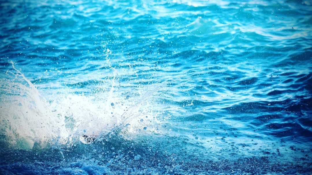 Започна записването за Международния конкурс за рисунки и фотографии, посветен на Световния ден на водата