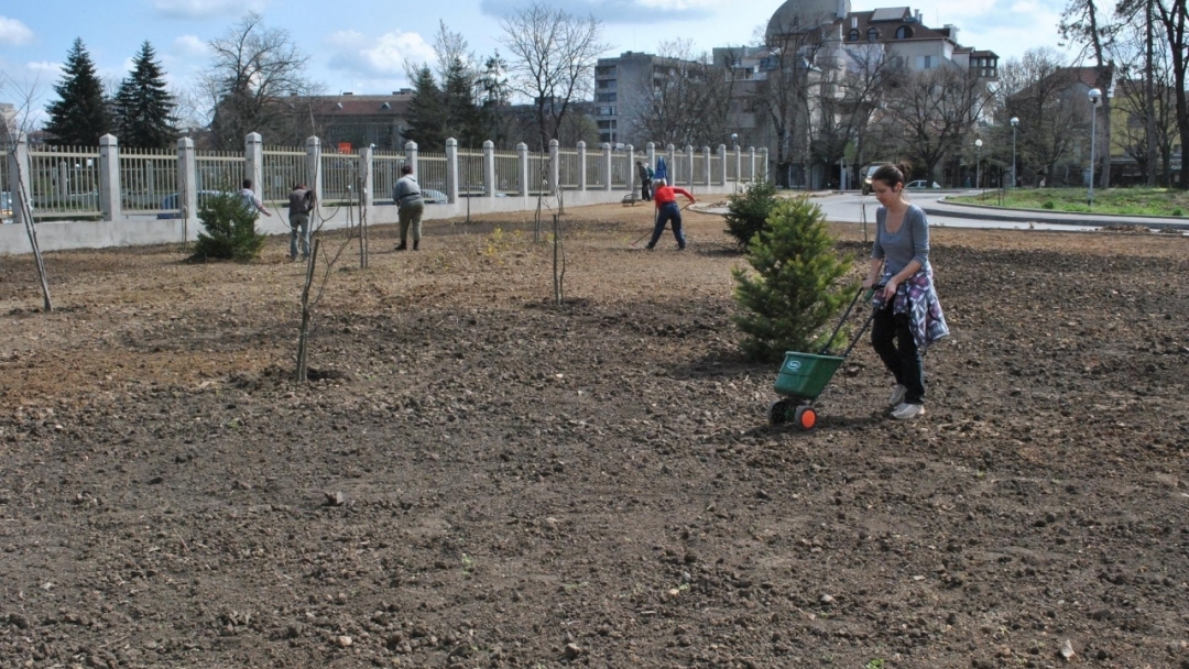 Озелениха новия паркинг в центъра на Русе