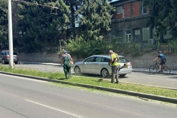 Продължава косенето на тревните площи в Русе