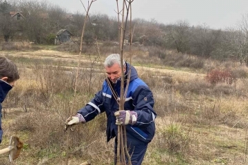 Още 65 дръвчета попълниха Новата гора на Русе