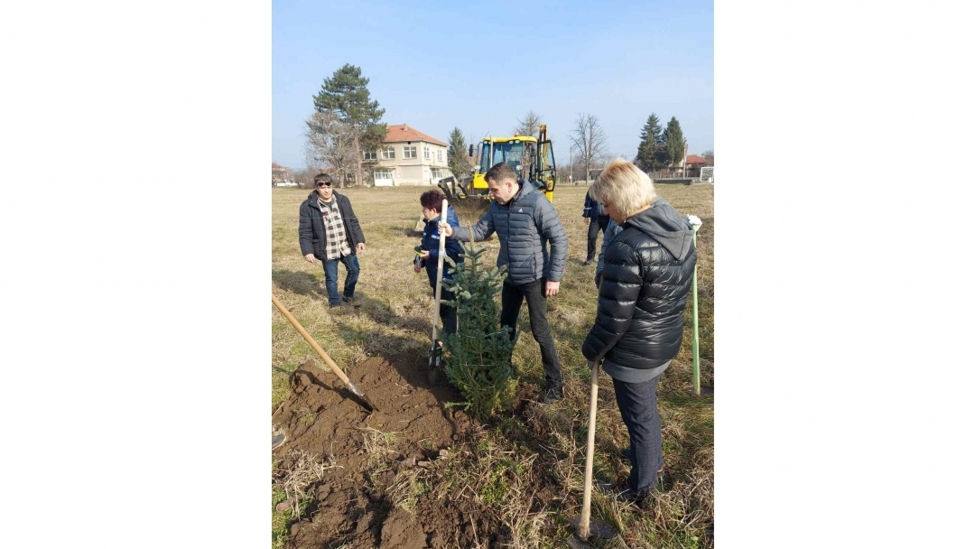 Община Русе засади в Мартен 70 дарени дървета