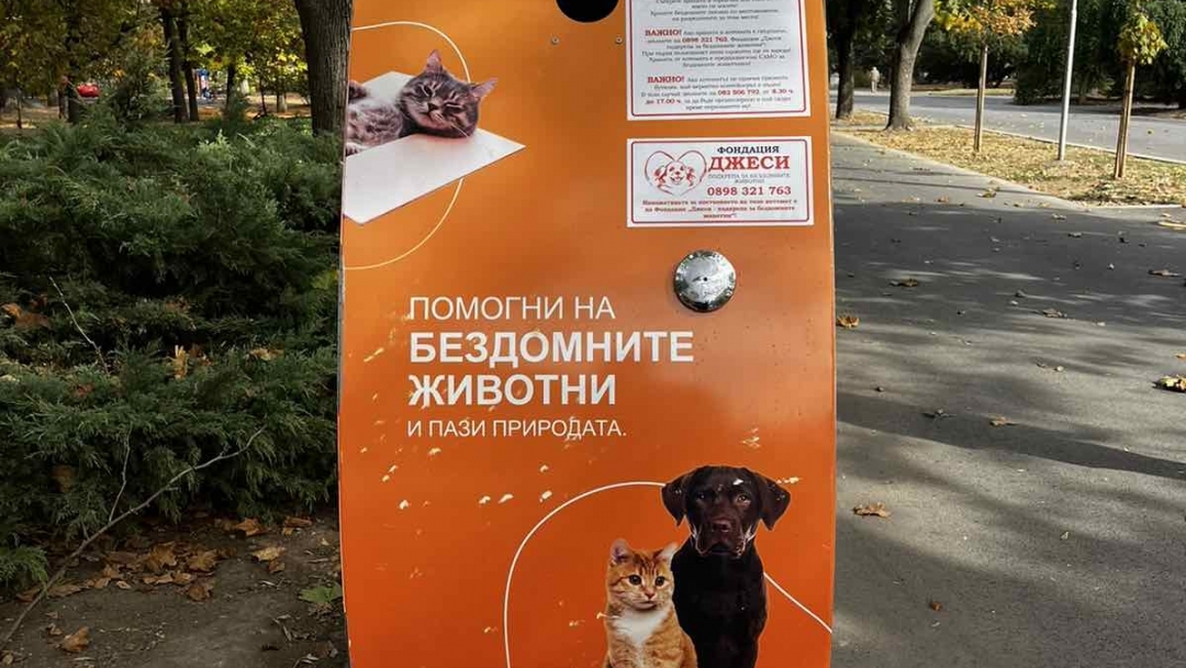  Поставиха първите автомати за хранене на бездомни животни в Русе