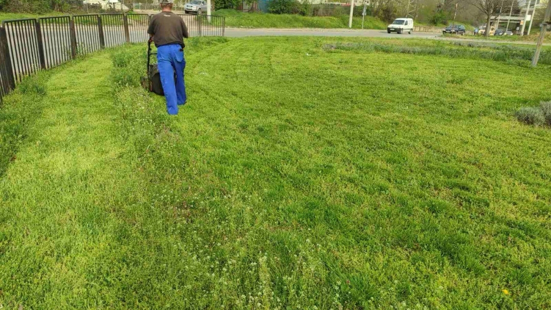 Започва косенето на тревните площи в Русе