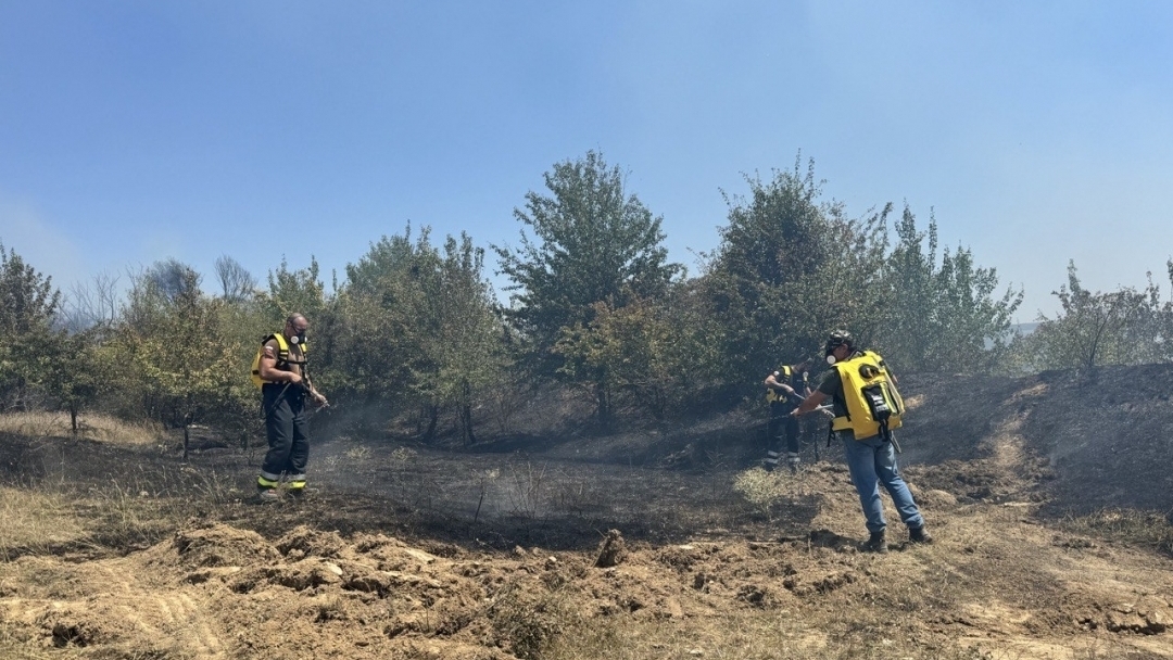  30 доброволци бдят за безопасността на русенци 