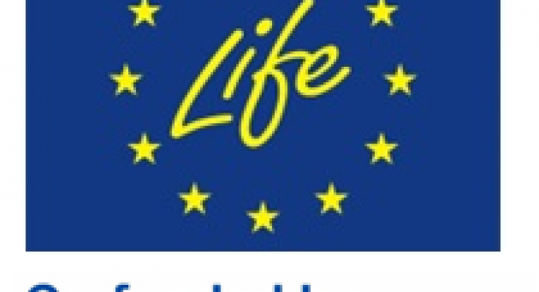 Община Русе