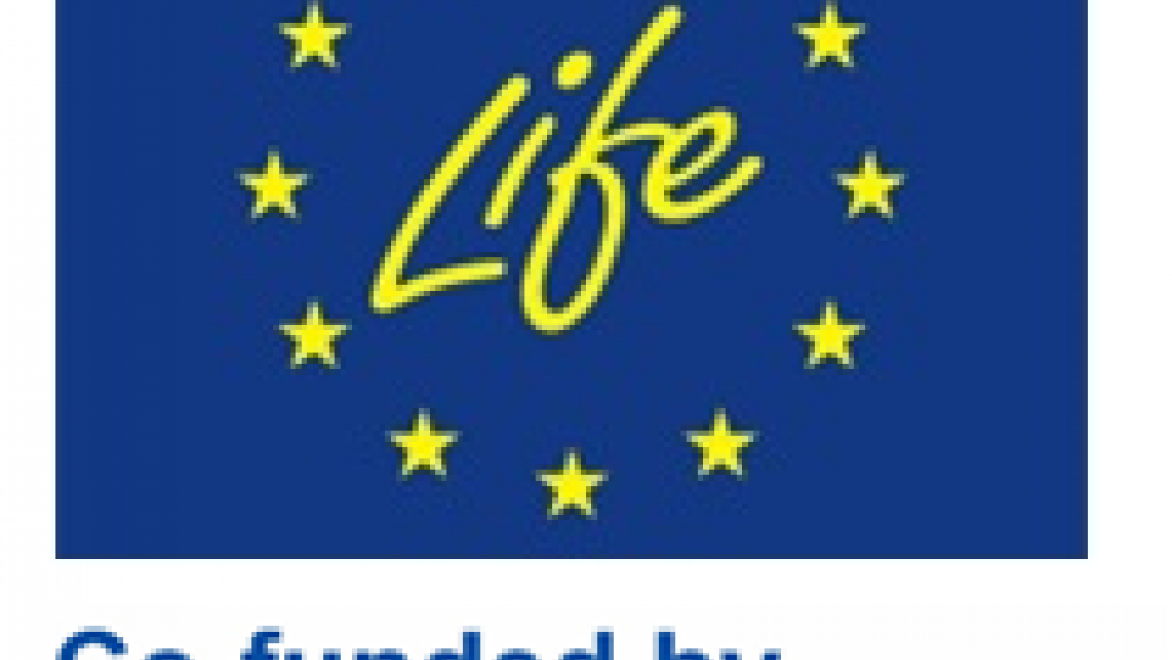 На 24 ноември ще се проведе публично обсъждане на Проект на План за устойчива градска мобилност