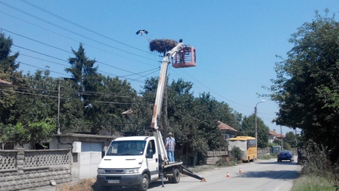 В Николово спасиха щъркел