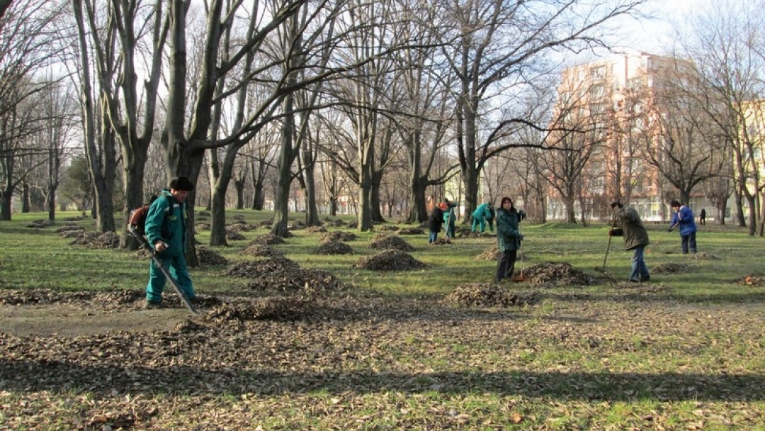 До броени дни стартира подновяване на растителността в паркове и градинки