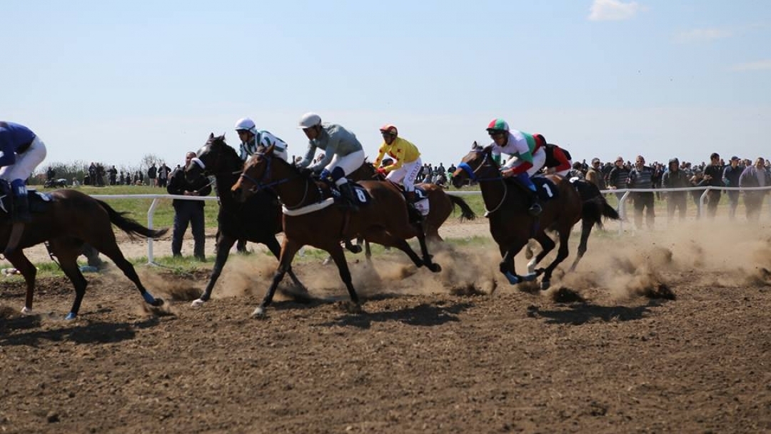 Пети национални конни надбягвания се проведоха в Сандрово
