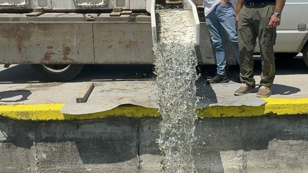Ruse Municipality and EAFA stocked the lake in Lipnik