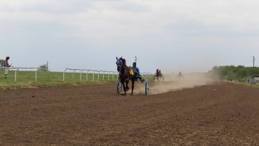 Hundreds of horse racing fans gathered in Sandrovo