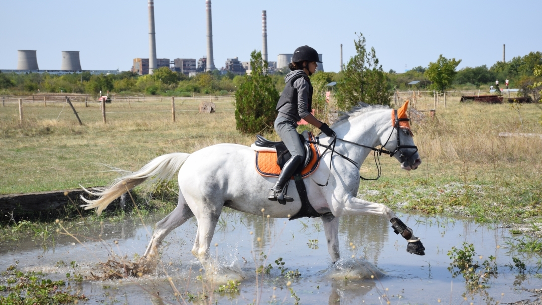 Държавните първенци в четири класа на Всестранната езда се определиха в Русе