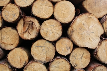 Суха и необработвана дървесина следва да се използва за битово отопление