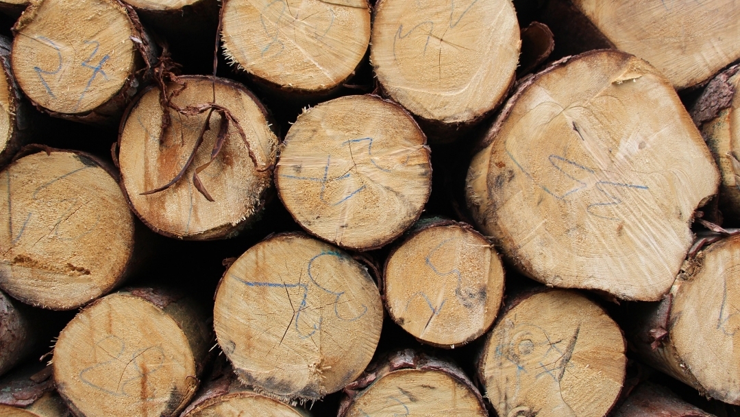Суха и необработвана дървесина следва да се използва за битово отопление