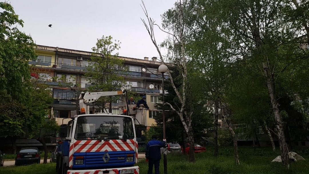 Облагородяването на зелените площи в Русе продължава по график