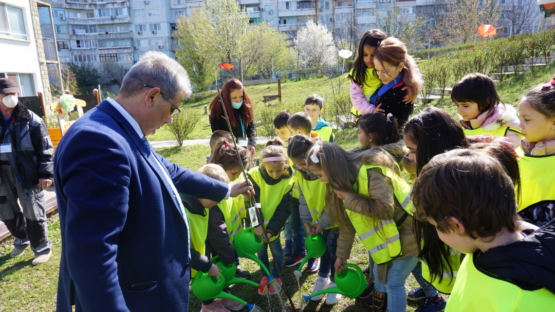 Над 80 дървета бяха засадени в русенски детски градини