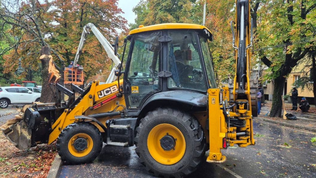 Екипи на общинските предприятия и Пожарната служба работят по сигнали за паднали дървета и аварии