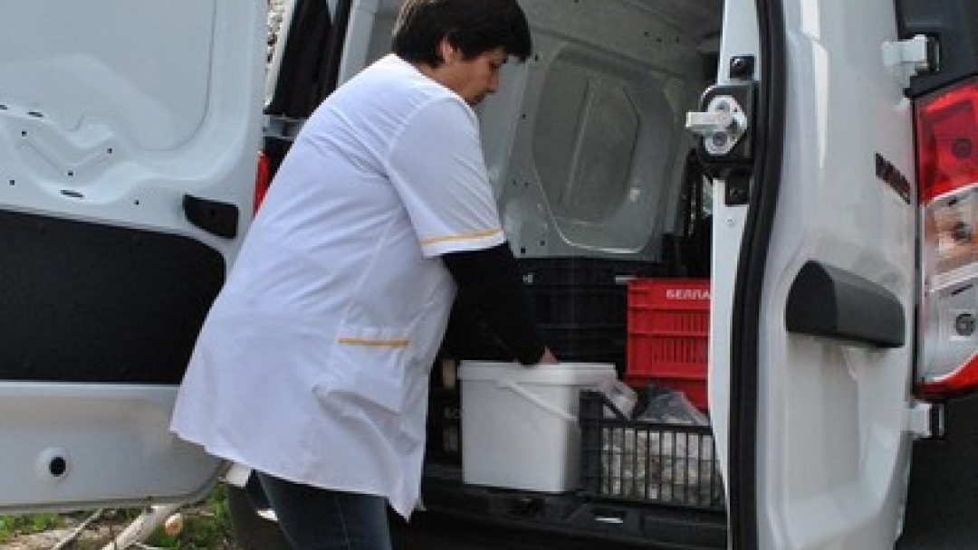 Над 550 жители на Община Русе получават топла храна всеки ден от Домашния социален патронаж