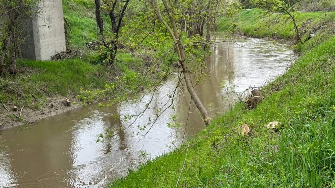 Кметът Пенчо Милков инспектира първия етап от почистването по поречието на Русенски Лом