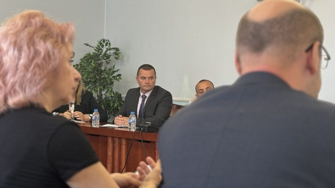 Кметът на Русе и представители на дунавските общини настояха пред здравния министър за устойчиви мерки срещу комарните популации