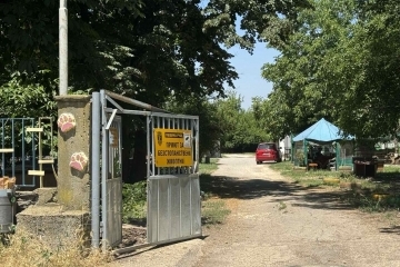 Общинският приют за безстопанствени животни в Русе търси ветеринарен лекар