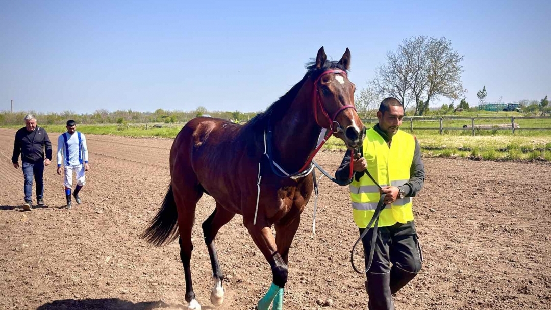 Заместник-кметът Борислав Рачев откри беговия сезон в Русе