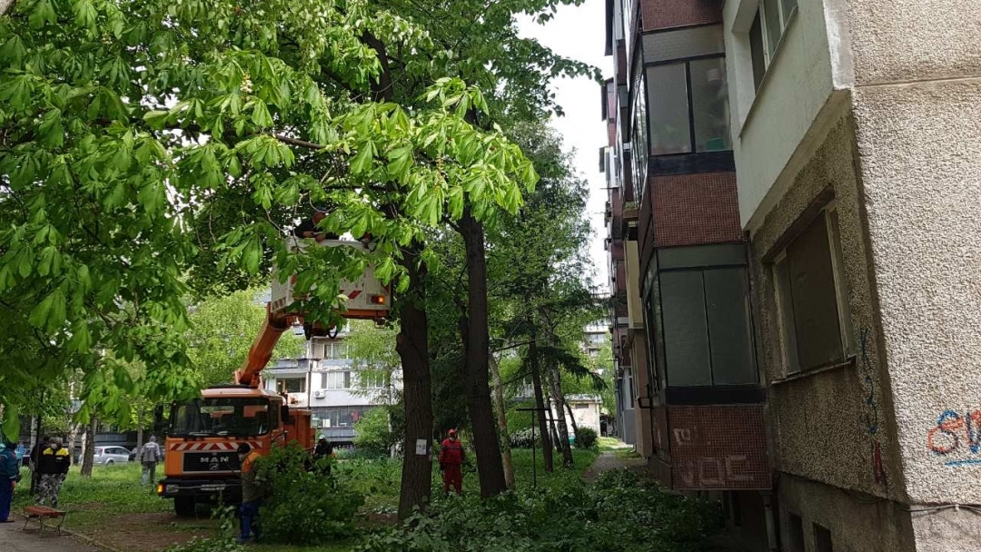 Облагородяването на зелените площи в Русе продължава по график