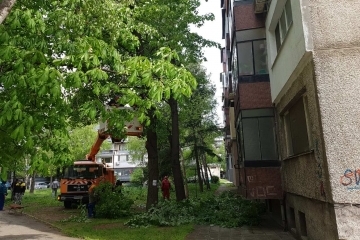 Облагородяването на зелените площи в Русе продължава по график