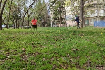 Общинските екипи продължават дейностите по косене на тревните площи в Русе